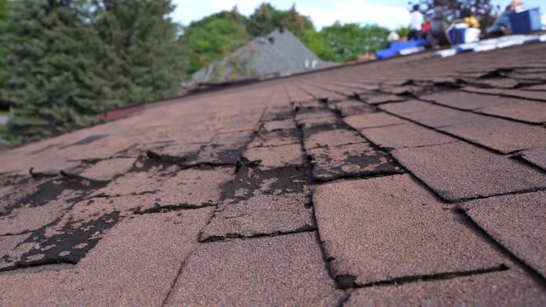 Best Cold Roofs  in Caro, MI