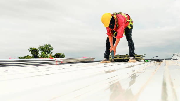 Best Roof Ventilation Installation  in Caro, MI