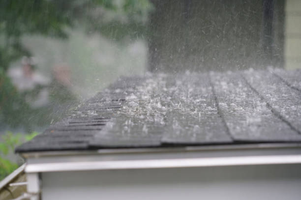 Best Asphalt Shingle Roofing  in Caro, MI
