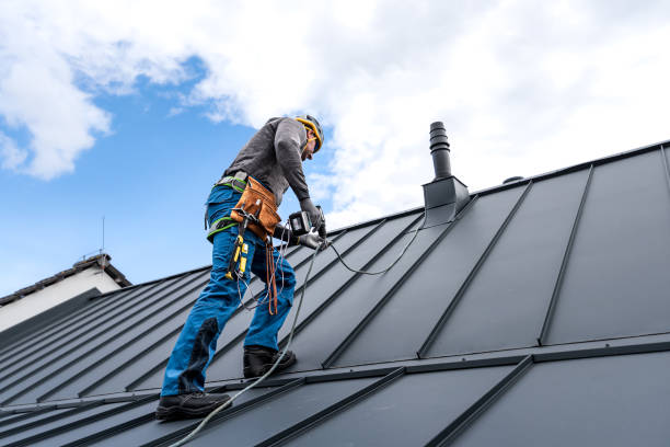 Best Roof Insulation Installation  in Caro, MI